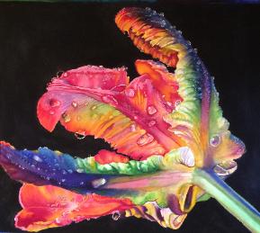 Rainbow Dew